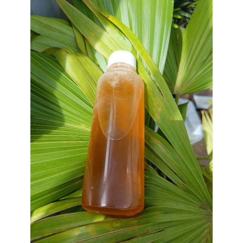 

MADU HUTAN ASLI 250ML TANPA CAMPURAN APAPUN