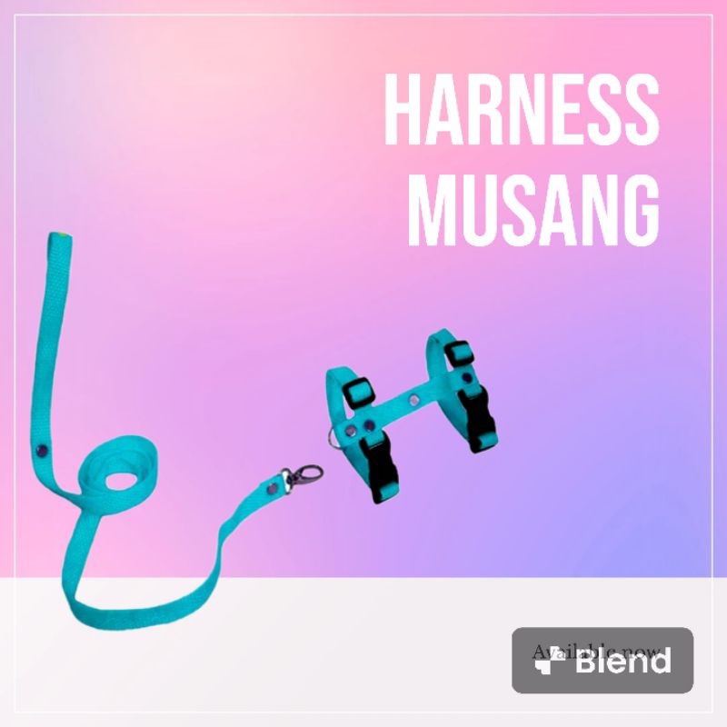 HARNES MUSANG UKURAN 2 BULAN SAMAPAI DEWASA TALI TUNTUN MUSANG UNTUK SEMUA UMUR WARNA BIRU MUDA