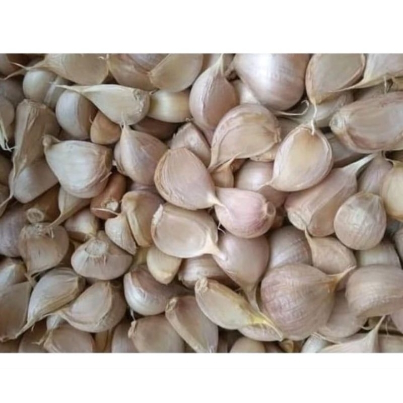 

Bawang putih kating 250gram
