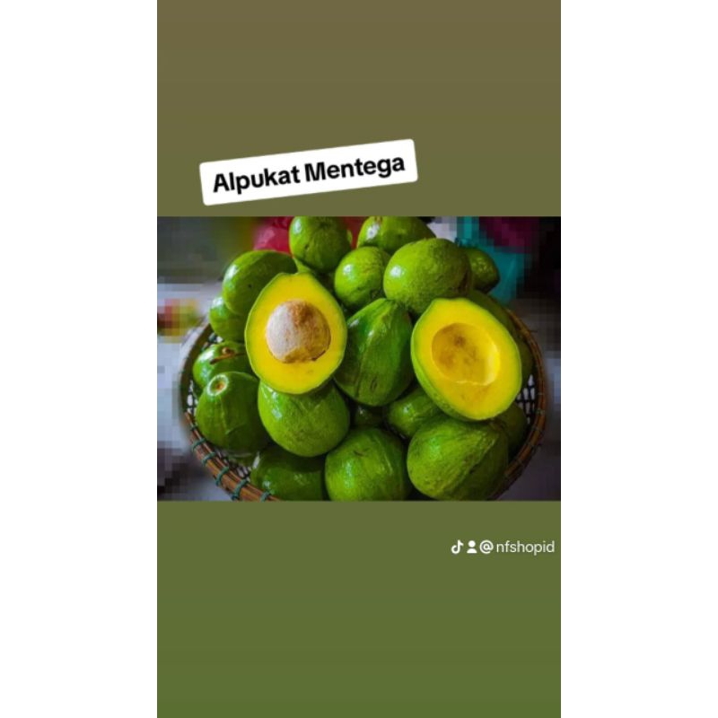 

Alpukat_Mentega