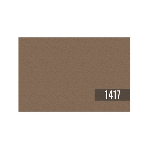 CAT TEMBOK INTERIOR JOTUN - EARTH BROWN/1417