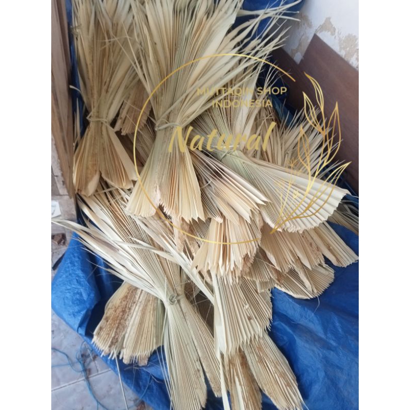 

DAUN SIWALAN/ LONTAR/ ENTAL/ IBUNG/ MUDA KERING BAHAN PENJOR SUPER