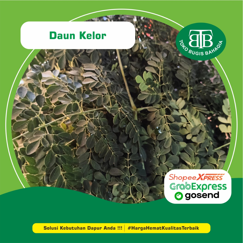 

Sayur Daun Kelor Segar Petik Dadakan , Murah Makassar