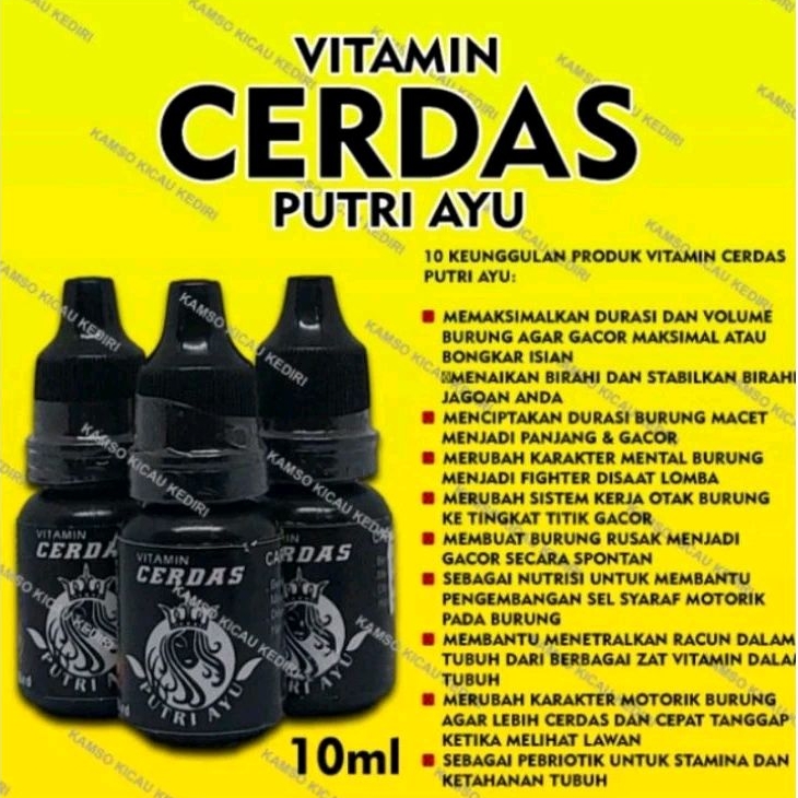 cerdas putri ayu