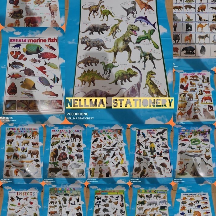 Poster Edukasi anak Belajar Mengenal Huruf angka Hewan dan Buah