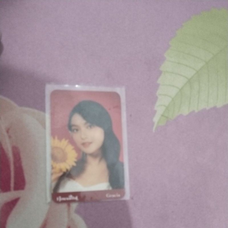 photocard jkt48 flowerful gracia