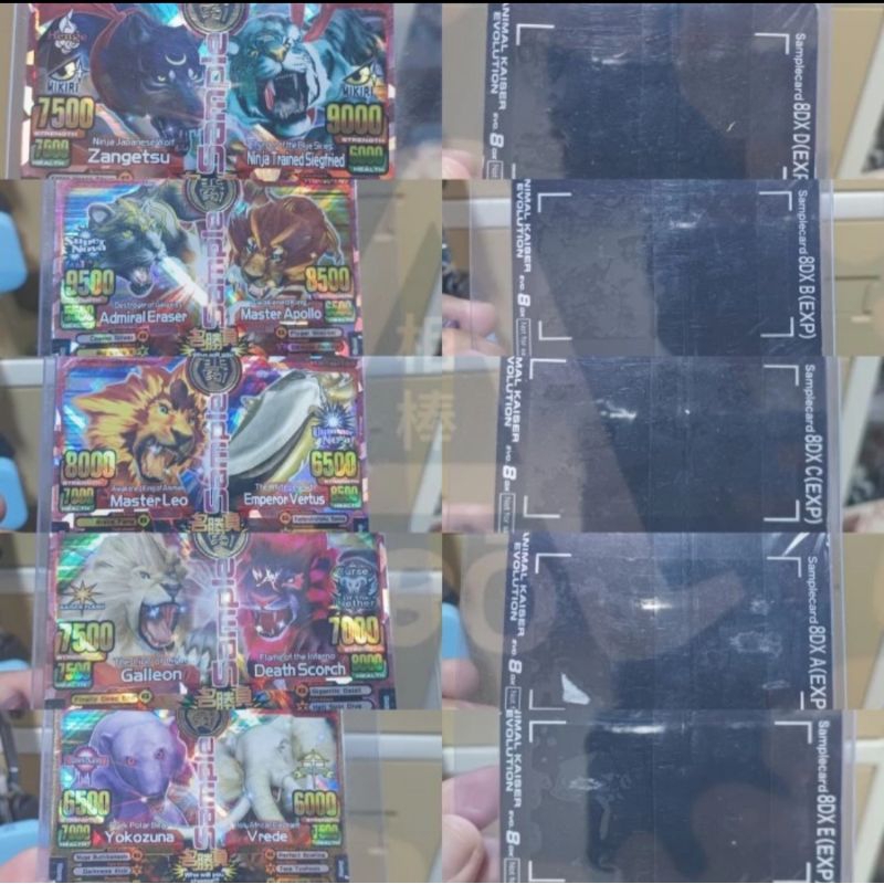 sample card animal kaiser evo 8dx set
