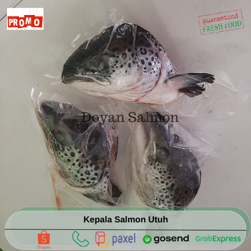 

PROMO Kepala Salmon Atlantik Besar 1Pcs / Kepala Salmon Besar 350Gr UP