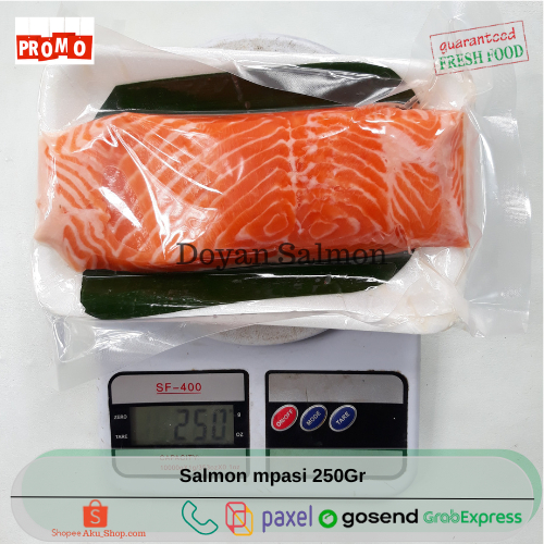 

Fillet Salmon Mpasi / Salmon Fillet / Salmon Portion