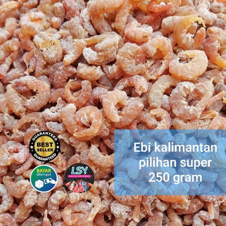 

Cepat laku ebi super pilihan 25gr
