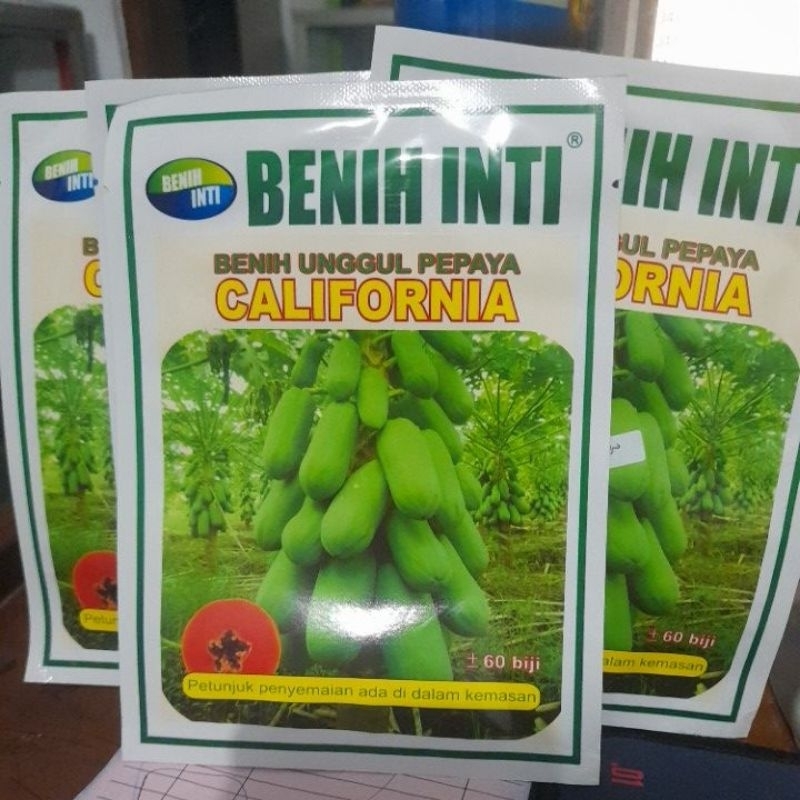 super benih unggul pepaya california isi 60 biji
