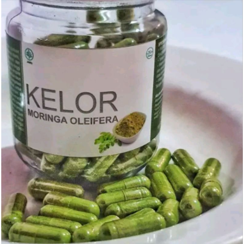 

DAUN KELOR / MORINGA OLEIFERA 100% ALAMI ORGANIK