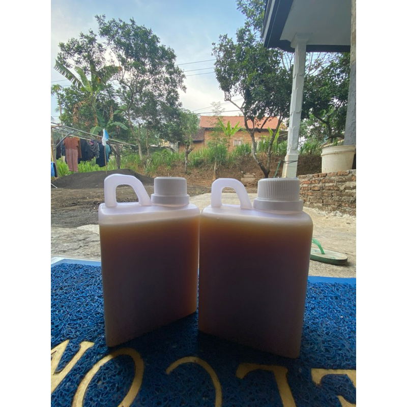 

madu klanceng murni kemasan 5 liter
