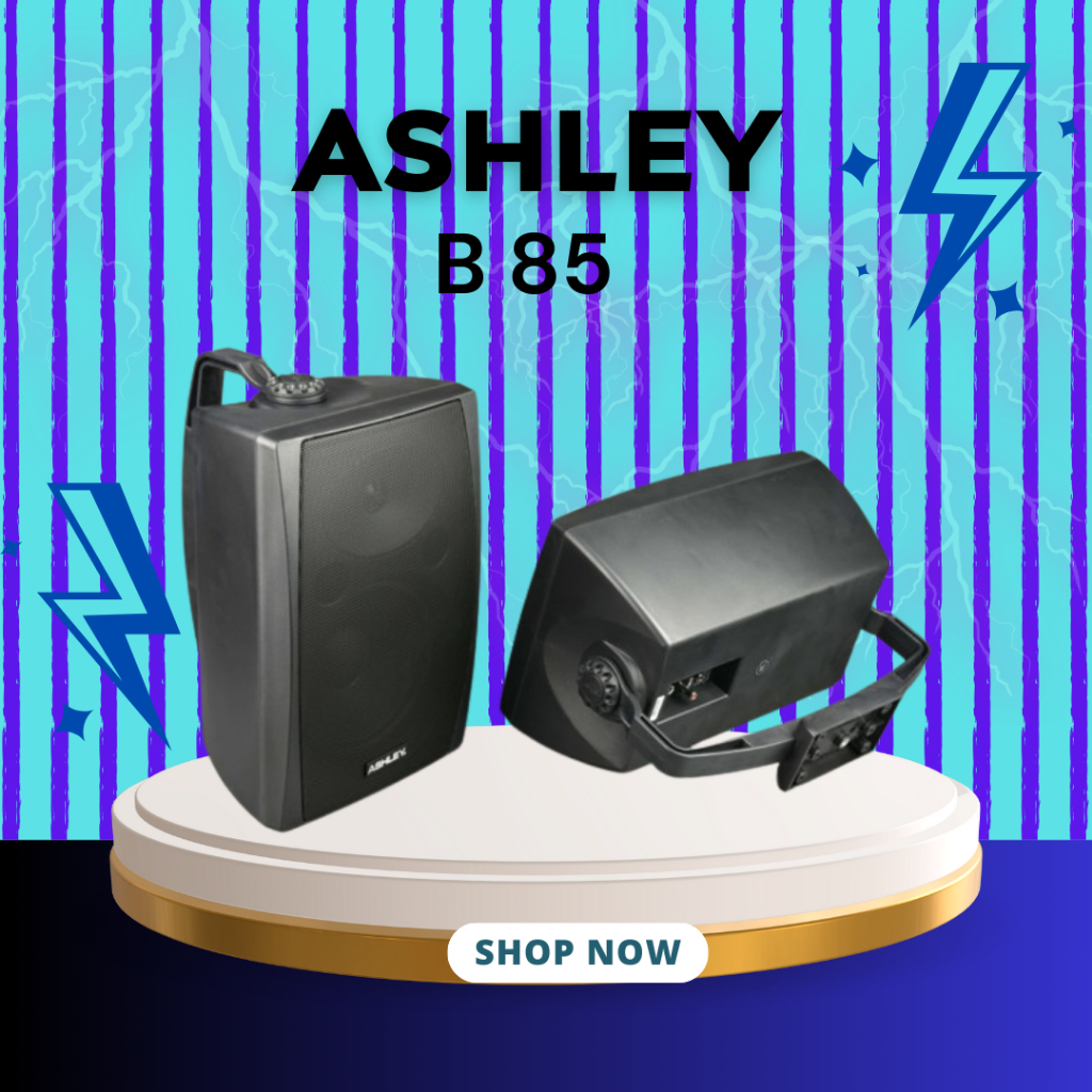 SPEAKER PASIF ASHLEY B 85 / B-85 / B85 WOOFER 8 INCH SPEAKER DINDING COLUMN GARANSI RESMI ASHLEY
