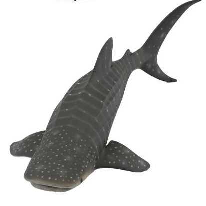 Collecta Miniatur Whale Shark Mainan Anak Figure Hewan Hadiah Anak