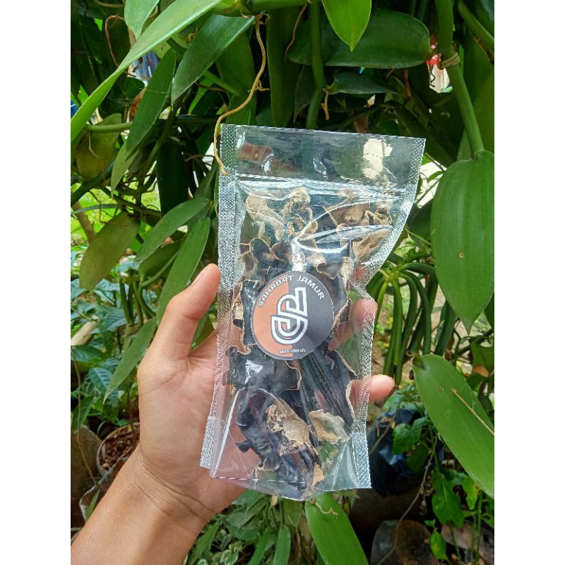 

Jamur kuping kering