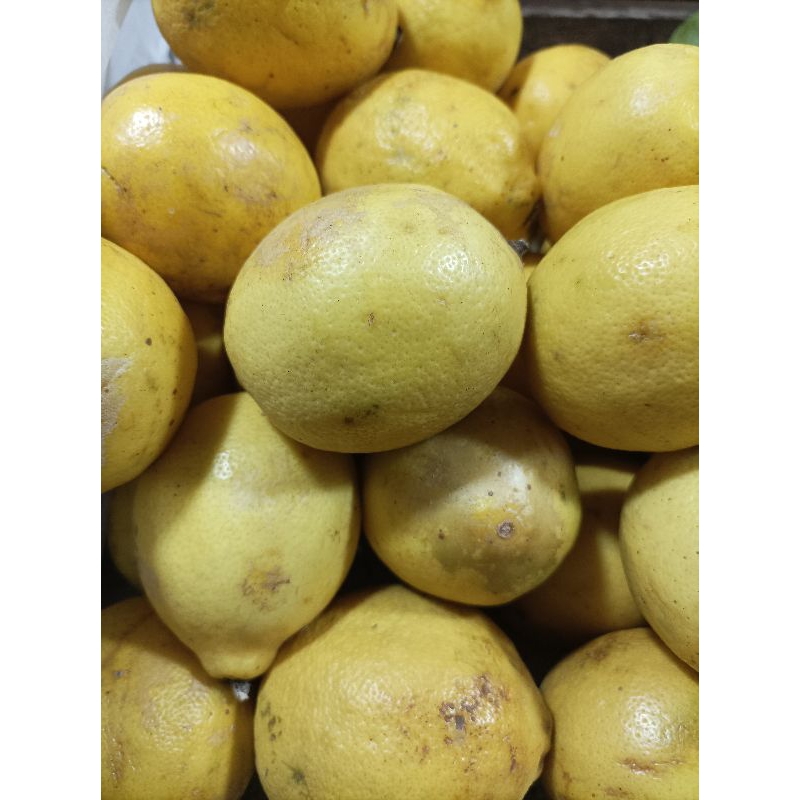 Lemon Lokal 1kg