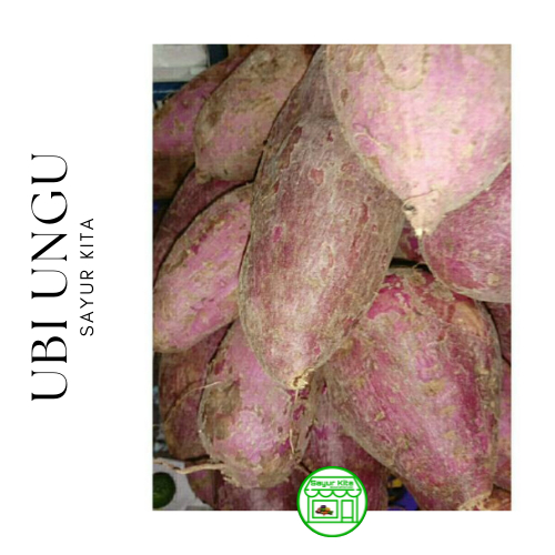 

Ubi Ungu / Purple Sweet Potato 500 gram