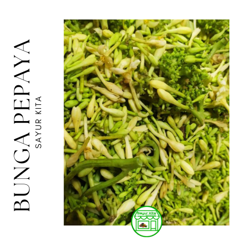 

Bunga Pepaya 500 gram
