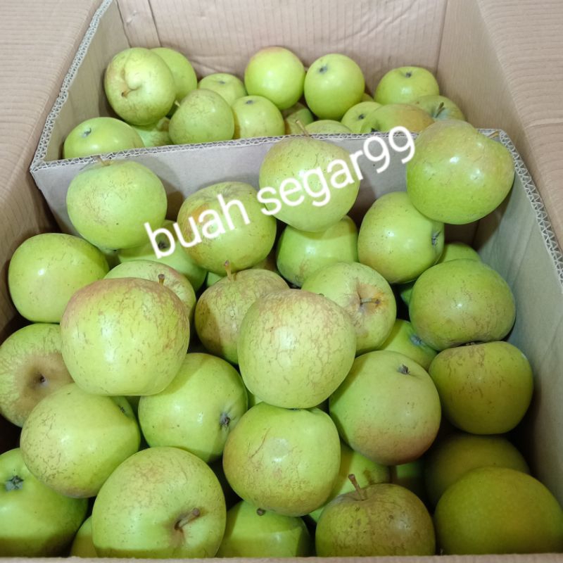 

apel manalagi/apel lokal fres/manis 1kg murah