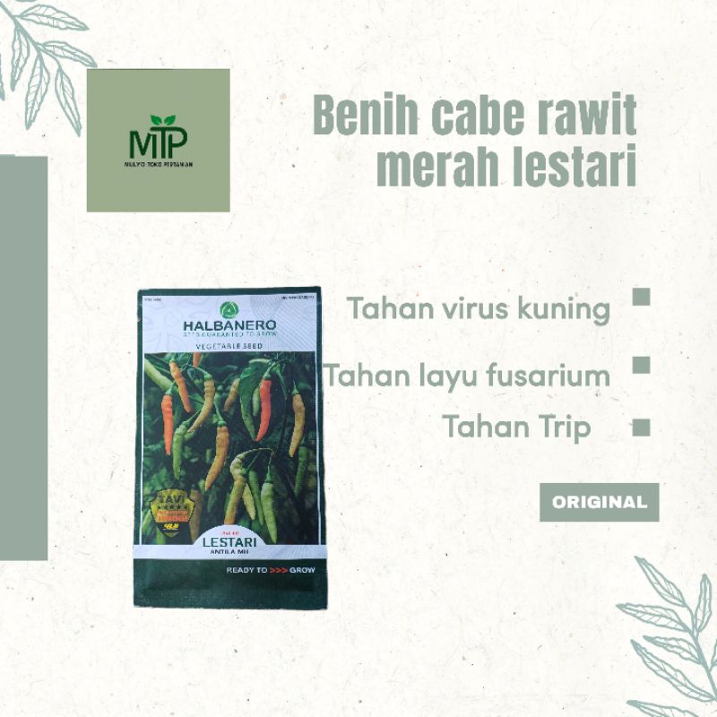 benih cabe rawit merah lestari halbanero