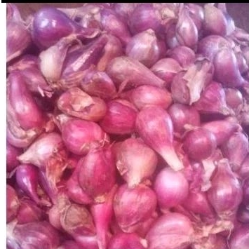 

Bawang merah super 250gr