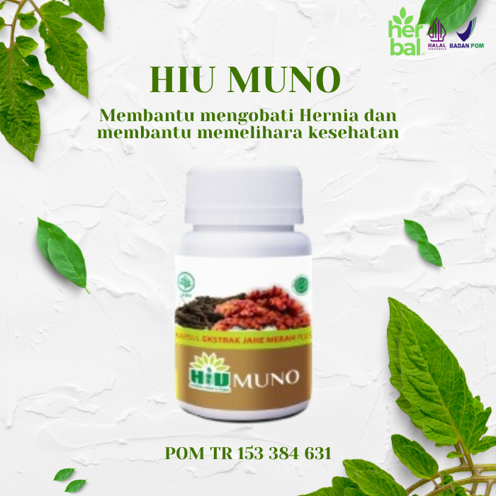 Toko tanaman obat HIU MUNO pil kapsul kesehatan ramuan herbal plus sehat organik alami untuk hernia 