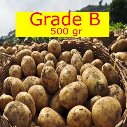 

Kentang kecil bambangan purbalingga kemasan 500gr