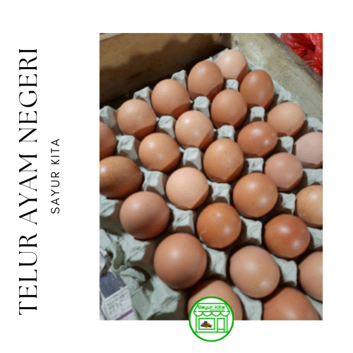 

Telur Ayam Negeri 1 kg
