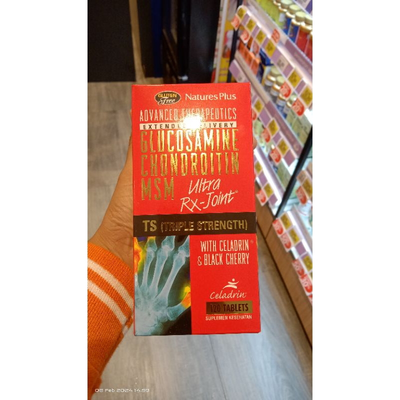 Natures Plus Glucosamine Chondroitin MSM 120 tablet