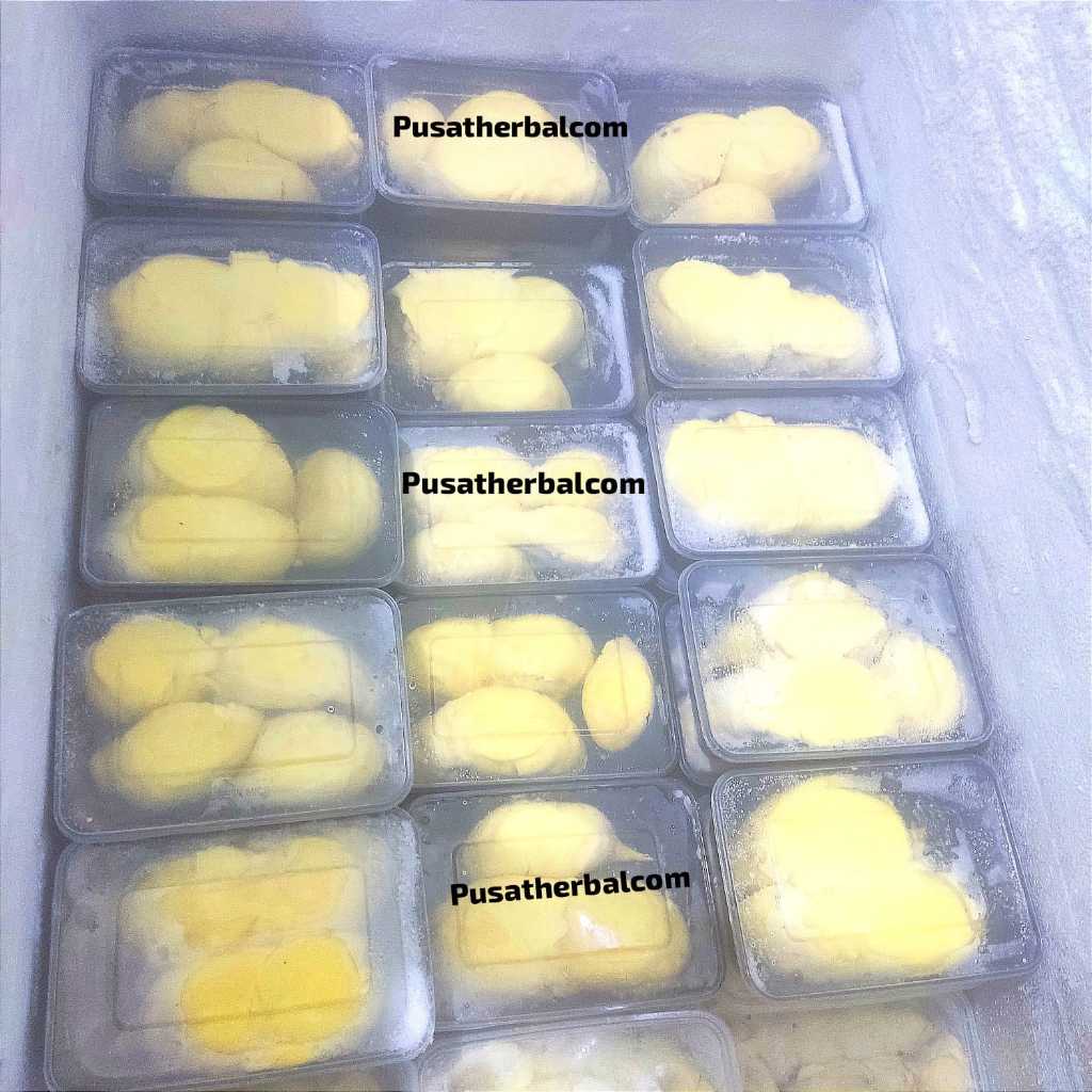 

Durian Montong Bali Kupas 500gr duren kupas mintong bali