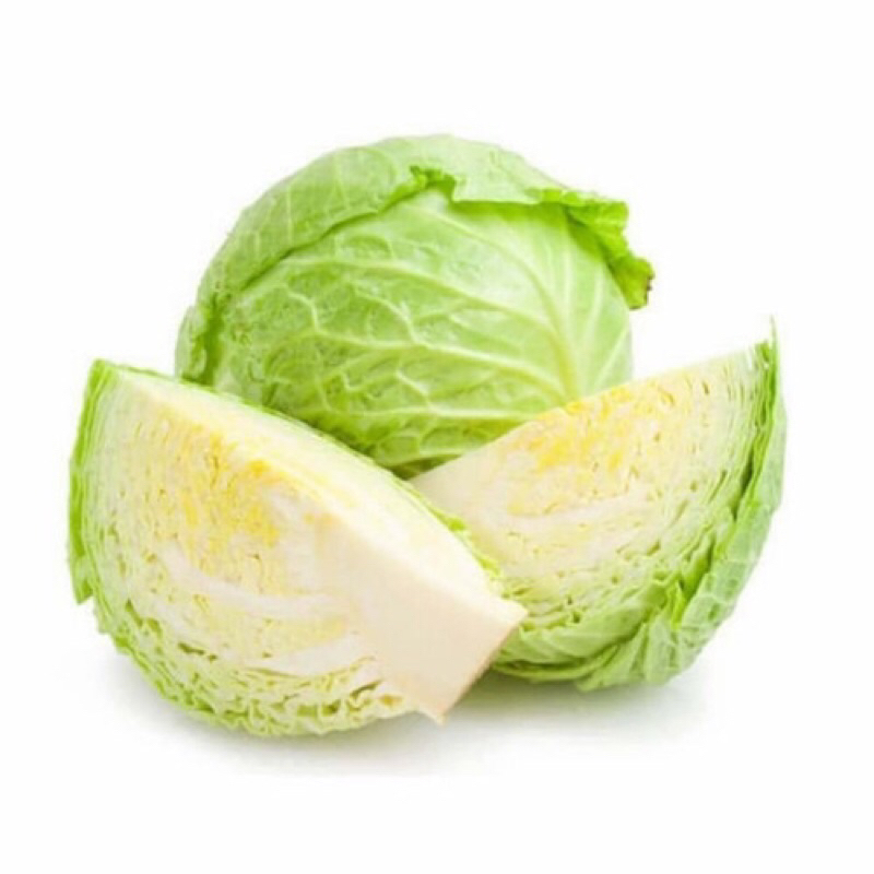 

sayur kol / kubis segar