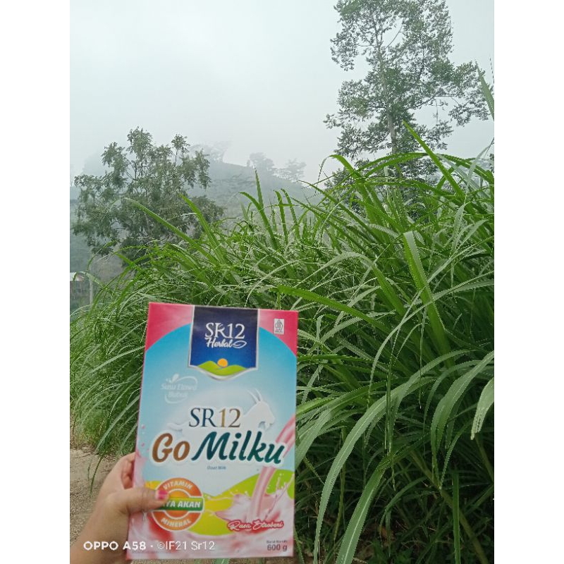 

Susu kambing etawa Go Milku Sr12 600gram