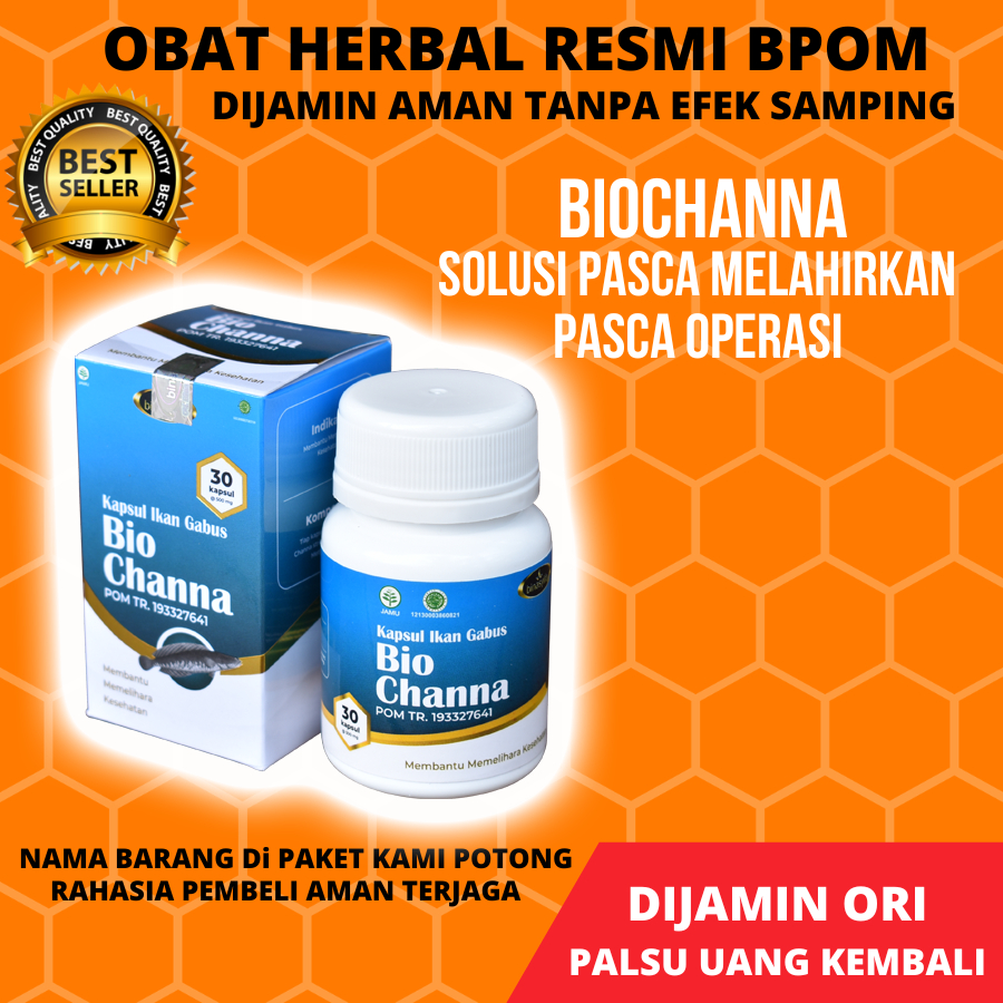 Biochanna Kapsul Kutuk Ikan Gabus Pro Albumin Obat Pasca Luka Operasi Caesar Ampuh Binasyifa Original BPOM Herbal