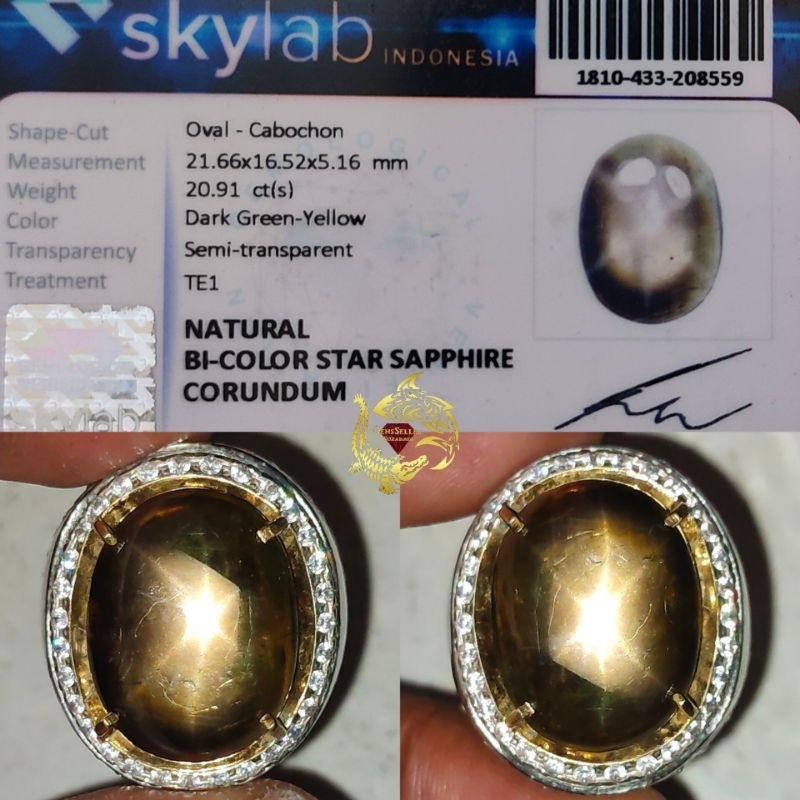 Natural BI Color Star Sapphire Corundum 20.91 cts