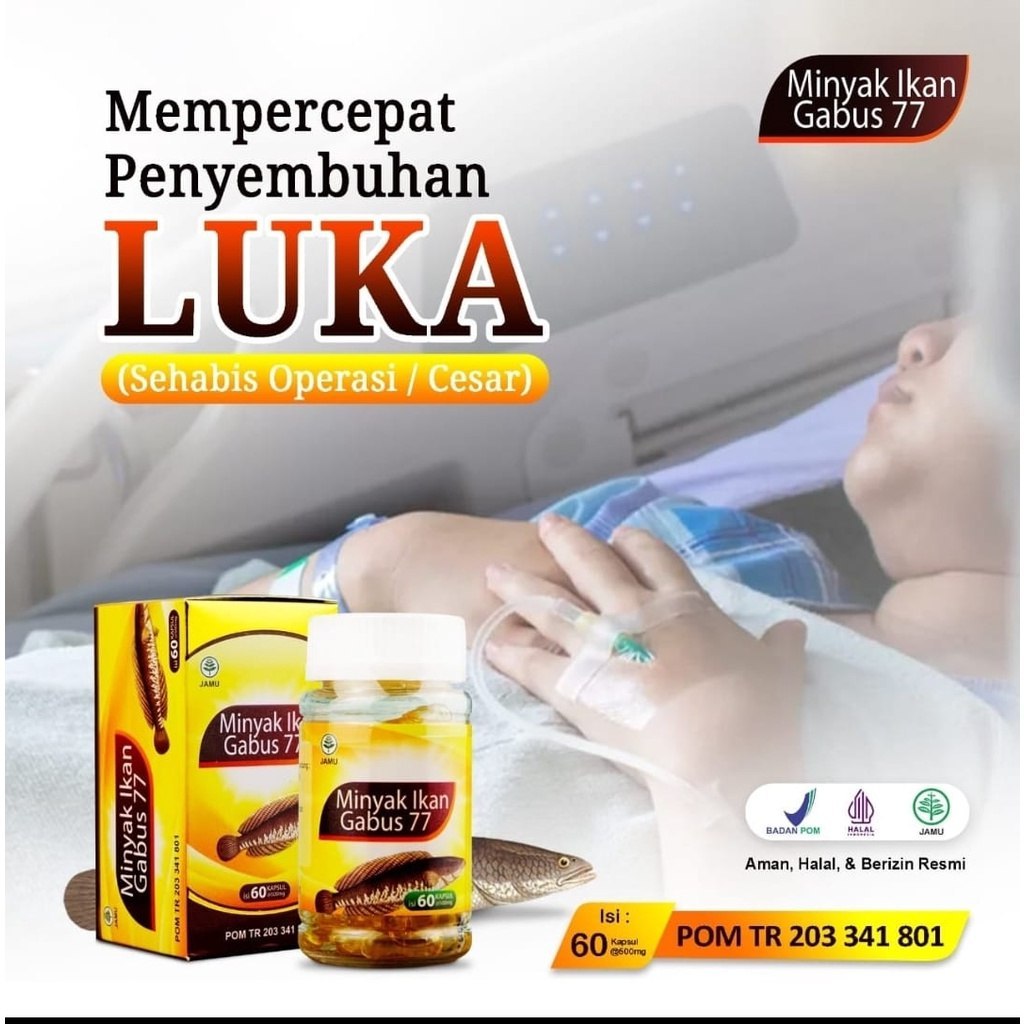 Minyak Ikan Gabus 77