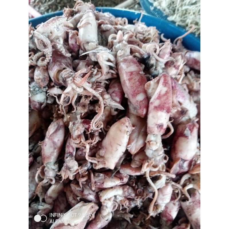 

cumi-asin*merah/perkilo