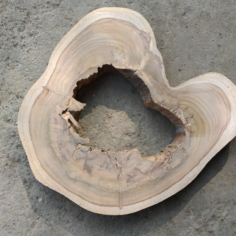 Potongan kayu jati bolong