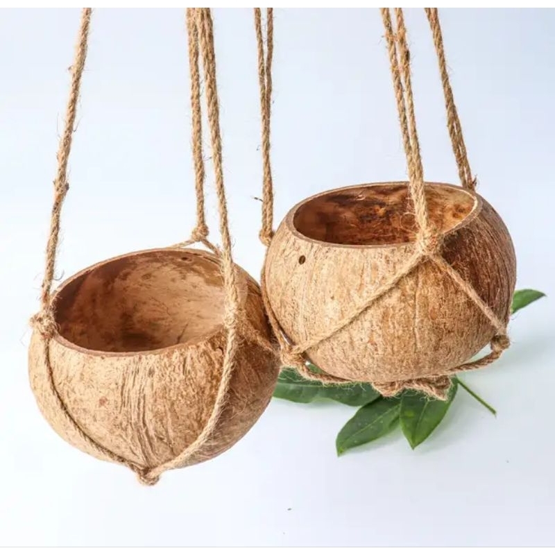 pot bunga gantung, pot batok unik