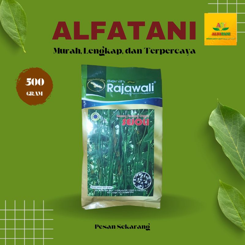 Benih kacang panjang Sejoli cap rajawali 500Gram