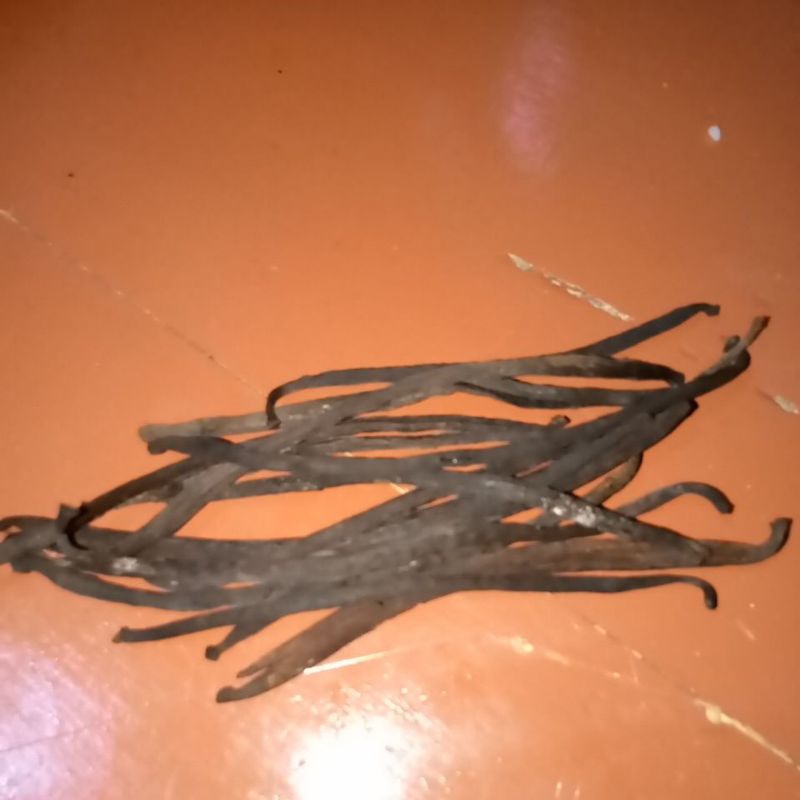 

vanilla kering kualitas terbaik 100gr