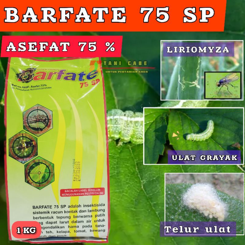 INSEKTISIDA BARFATE ASEFAT /SEPERTI JOKER KEMASAN 1 KG