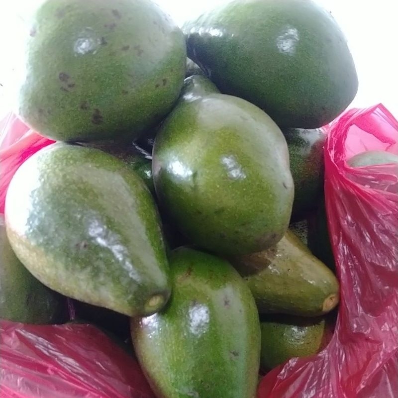 

Alpukat 1kg isi 3-5