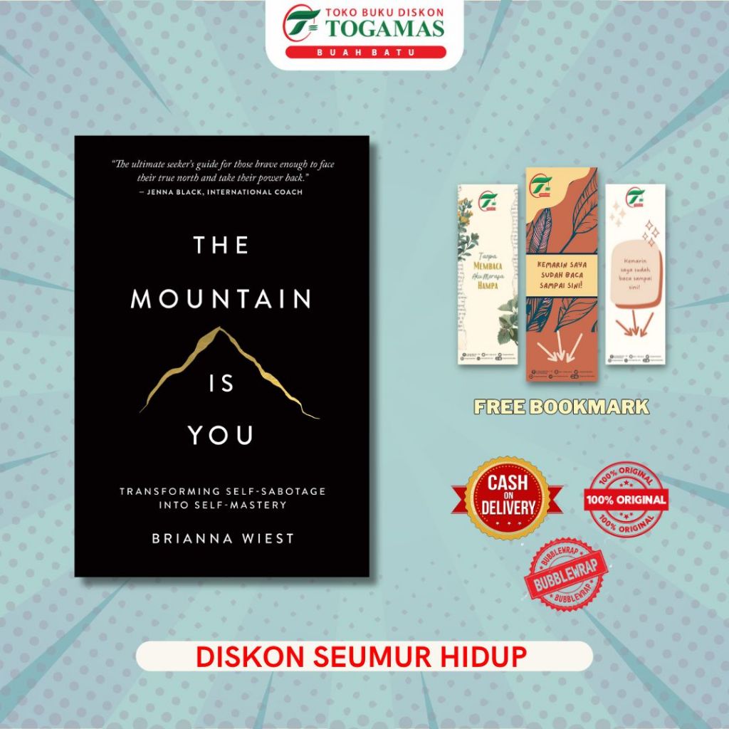 THE MOUNTAIN IS YOU - BRIANNA WIEST