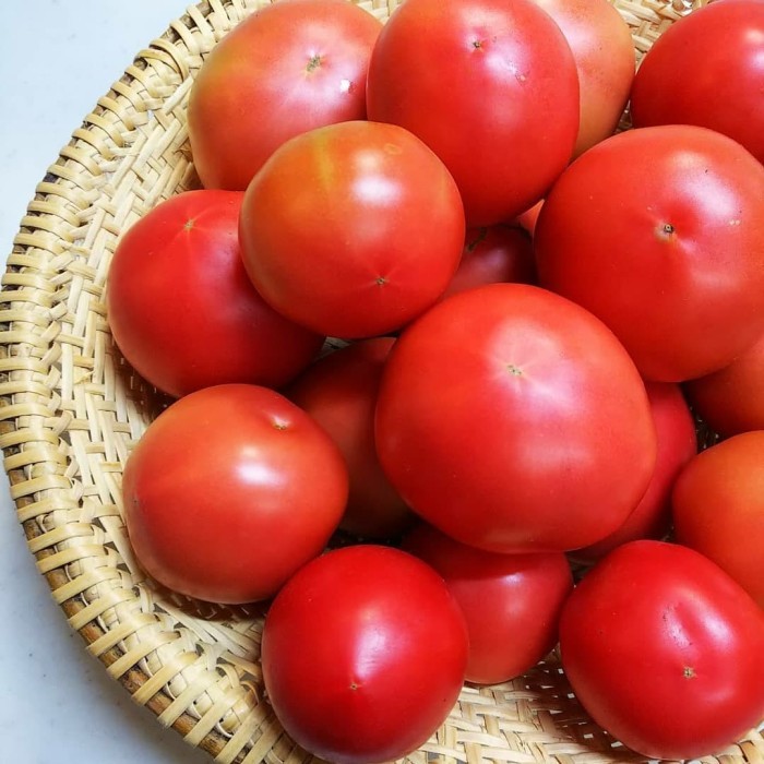 

Tomat Apel Segar | Apple Red Tomato