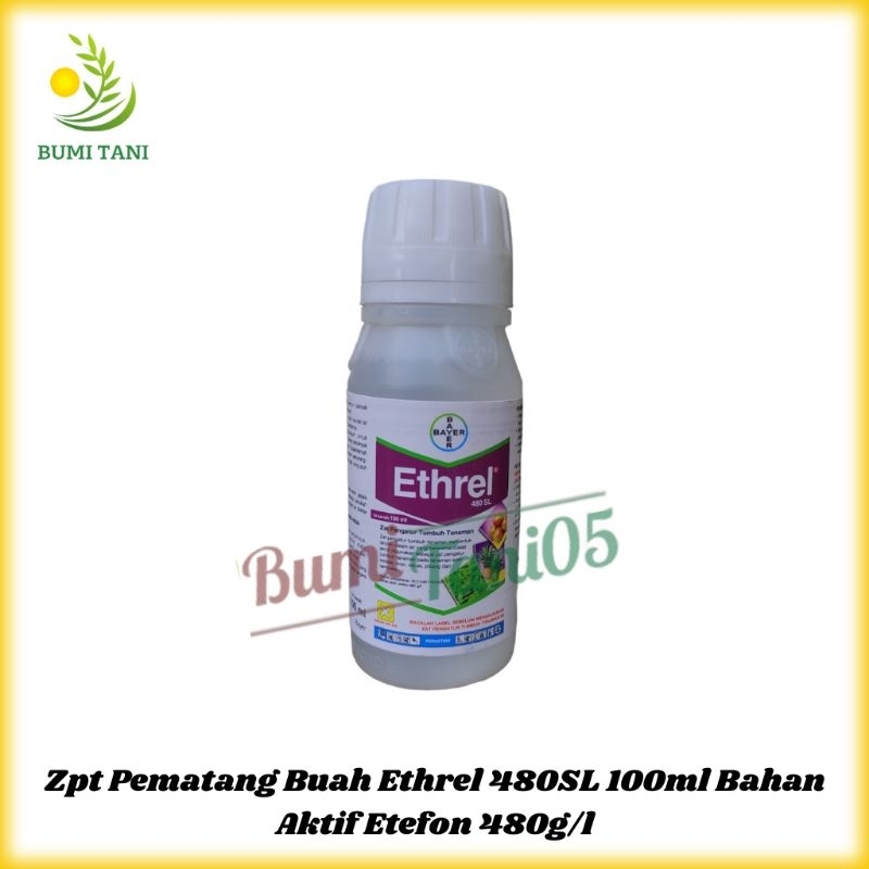 Zpt Pematang Buah Ethrel 480SL Pematang Buang Naga Pisang Pepaya
