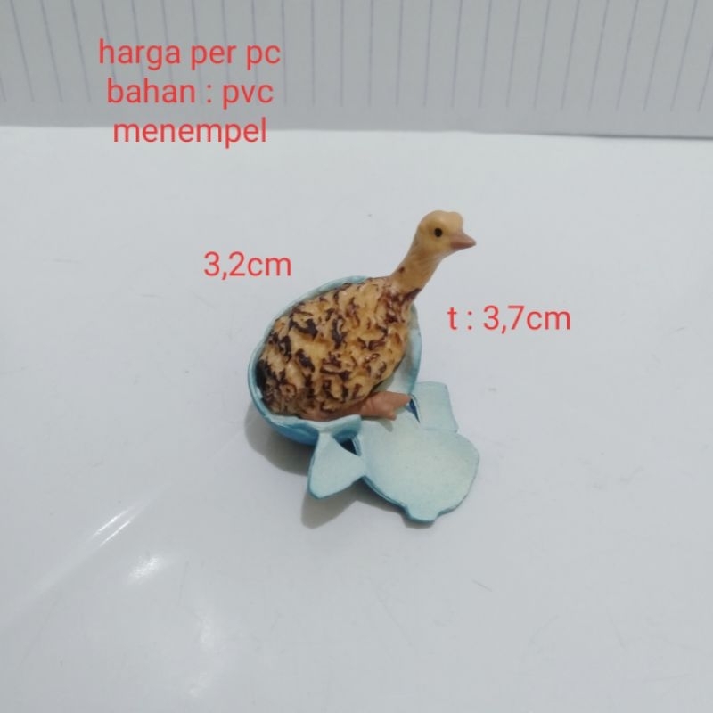 Miniatur Anak Burung Unta Miniatur Baby Ostrich