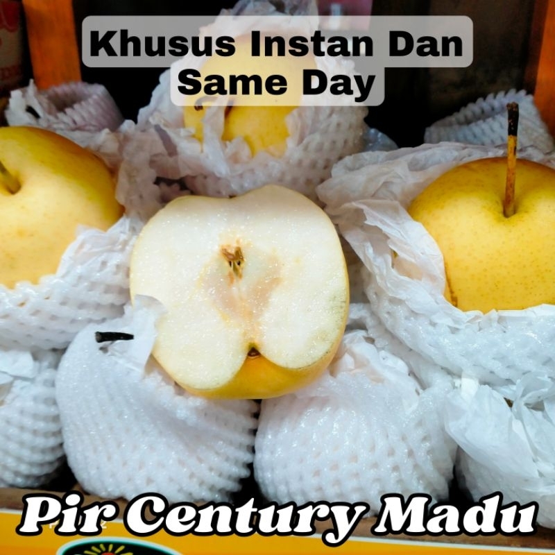 

PIR CENTURY MADU MANIS 1KG