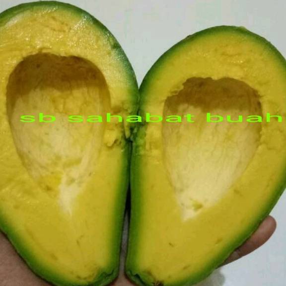 

GROSIR BUAH ALPUKAT MENTEGA JAWA TENGAH 1KG
