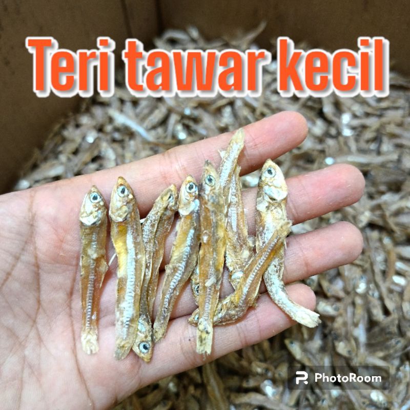 

IKAN TERI TAWAR KECIL 1 KG ASLI TAWAR